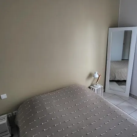 Climatise 2 Balcon Parking Prive Couvert Centre Village